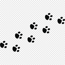 Set cute cartoon greeting cards templates with easter eggs, bunny, spring flowers. Easter Bunny Rabbit Animal Track Easter Egg Paw Print White Child Animals Png Pngwing