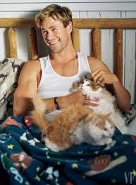 Our goal is to help you locate the perfect cat breeder near you; Kashi Saga About Us Norwegian Forest Cats Breeder New Jersey Usa