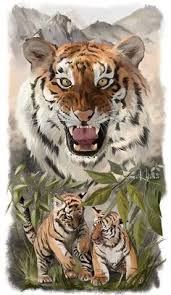 tigers by lorri kajenna tiger images animal art animals wild
