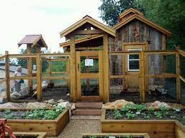 20 stunning chicken coop designs for your lovely birds the poultry guide in 2020 building a chicken coop chicken coop designs coop design
