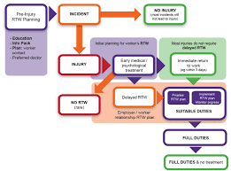 Psychological Injury Management Pim