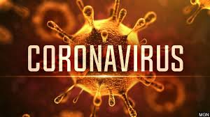 תוצאת תמונה עבור coronavirus