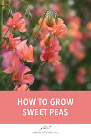 Pin On Bloggers Best Garden Ideas