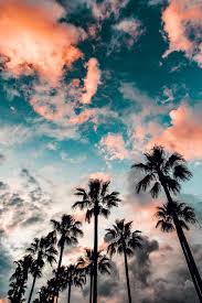 4f1731e34d4a968a7cd9a567bns F691d34 Png 640 960 Nature Photography Summer Wallpaper Sunset Wallpaper
