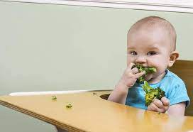 While the broccoli is steaming, melt some butter, if using. Broccoli For Babies Nutritional Value Benefits And Recipes