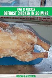 How to defrost a chicken in a refrigerator. How To Quickly Defrost Chicken In 30 Minutes