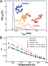 What Is the Time Scale for α-Helix Nucleation? | Journal of the American  Chemical Society