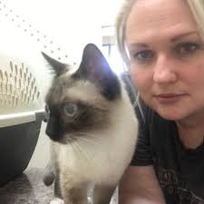 Lori Hatfield (@lorihatfielddesigns) • Instagram photos and videos