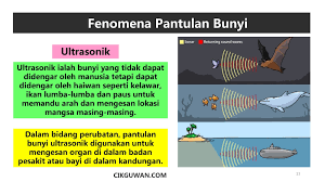 Cara mengatasi pencemaran air perlu diketahui karena air adalah salah satu elemen penting dalam kehidupan. Nota Sains Tahun 4 Topik Bunyi Kssr Semakan