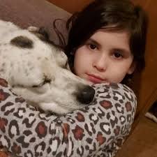 Dachshund Breeder Dallas, TX 75221