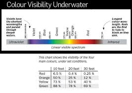 Image Result For Fishing Lure Color Selection Chart