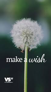 Make A Wish Visual Statements Spruche Zitate Spruche Sinnspruche