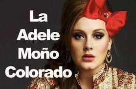 De Noche con Yordi Rosado