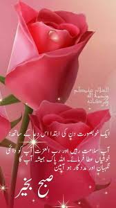 Pin By Abdul Ghafoor On Assalamualikum Good Morning Flowers Beautiful Morning Messages Good Night Prayer