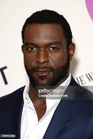 412 Harvey Shaw Stock Photos, High-Res Pictures, and Images