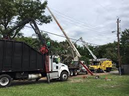 Very responsive to my concerns and left the job site in better shape than when they arrived exceeded my expectations in every way i highly recommend warner. Pete Ron S Tree Service