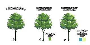 Do simultaneous work on the dev branch. Anime Tree Tutorial