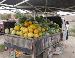Child labour in india 7. The Fruits Of My Labour Into Xinjiang China Margo Polo