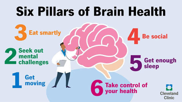 The 6 Pillars of Brain Health