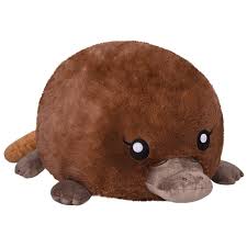Image result for Platterpus