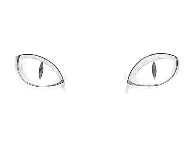 How to Draw Cat Eyes - Drawingforall.net