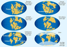 Imagenes De La Deriva Continental Buscar Con Google Socialismo Historia Cosmos