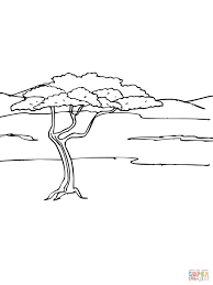 Printable World Biome Map Coloring Worksheet Acacia Tree In Savanna Coloring Page Jpg 1200 1600 Pajaros Para Colorear Colores Muralla China