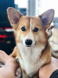 Tips for solo at Mau P Red Rocks