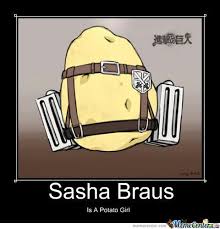 ʟȏȏҡṡ ıҡє ṡȏṃєṅєṡ ԁʏıṅɢ ṭȏԁѧʏ. Sasha Memes Attack On Titan Amino