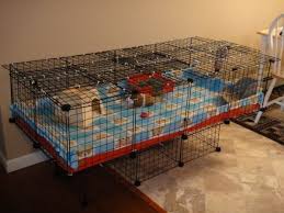 We have hundreds of homemade guinea pig cage ideas for anyone to pick. Pin On Guinea Pigs