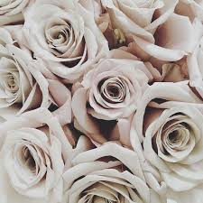 Pinterest Faejackson4 Cream Aesthetic Beige Aesthetic Brown Aesthetic