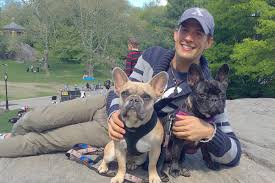 Two of her three french bulldogs were reportedly taken. Lady Gaga S Dog Walker Ryan Fischer In Stable Condition Report