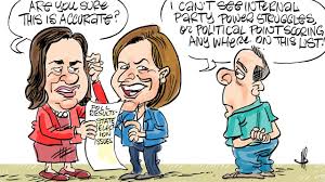 Results The State Election Issues That Matter To Mackay Daily Mercury