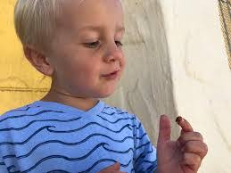 Edward Devincenzi's Instagram, Twitter & Facebook