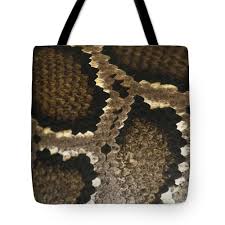 Fer-de-lance Tote Bag by Mark Newman