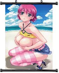 Amazon.com: ActRaise Resort Boin Anime Fabric Wall Scroll Poster (16x24)  Inches[ACT]-Resort-10: Posters & Prints