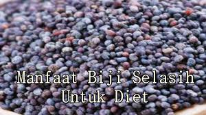 Jarang diketahui, ini 8 manfaat biji selasih bagi kesehatan tubuh. Manfaat Biji Selasih Untuk Diet Youtube