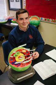 The smallest structural and functional unit of an organism, typically microscopic and consisting of cytoplasm and a nucleus enclosed in a membrane. 7th Grade Cell Project Brook Hill School Tyler Tx
