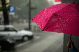 Maybe you would like to learn more about one of these? Chuva Intensa E Granizo Causam Inundacoes E Quedas De Arvore Em Vila Real