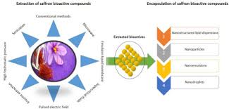 Extraction (previously known as dhaka) is a 2020 netflix original action thriller starring chris hemsworth as tyler rake, a mercenary who is assigned to extract the son of an indian crime lord from the hands of his rival. Different Techniques For Extraction And Micro Nanoencapsulation Of Saffron Bioactive Ingredients Sciencedirect