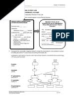 The human genome flashcards | quizlet the human genome is a complete set of nucleic acid sequences for humans, encoded as dna within the chapter 14 human genome answer key humans have 23 chromosomes that each contain many genes. Ap Heredity Practice Test 2016 Dominance Genetics Zygosity