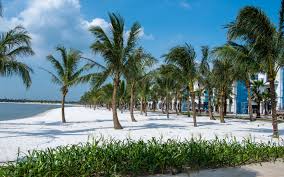 Toà căn hộ thông minh smarthome đầu tiên tại tp biển hồ. Cozy Studio Vinhomes Ocean Park W Pool Beach Apartments For Rent In Gia Lam Hanoi Vietnam