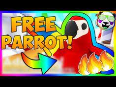 In the event that you still do not know very well how to redeem your roblox adopt me codes , here we leave you a video in which the procedure to obtain the rewards you are looking for is. Anneke Isabella Anneke Isabella Profile Pinterest