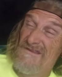 What tree climbing job opportunities are available?