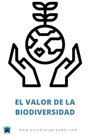 Mantente informado con las últimas noticias, videos y fotos de biodiversidad que te brinda univision | univision. El Valor De La Biodiversidad