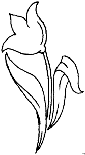 Einfach Tulpe Ausmalbild Malvorlage Mode Und Kunst