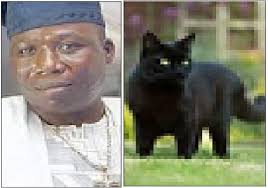Igboho's arrest was embedded in a letter by nigeria immigration service dated july 9, 2021, and addressed to the director general i'm not aware of the letter. 744pts9123z1mm