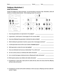 fillable online pedigree worksheet 1 mr hartans science