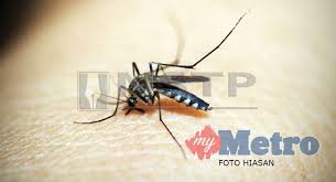 Maybe you would like to learn more about one of these? Kematian Demam Denggi Meningkat 100 Peratus