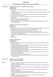 University of houston, department of hispanic studies. Adjunct Instructor Resume Samples Velvet Jobs
